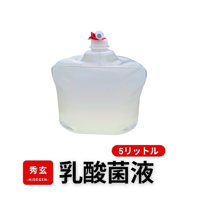乳酸菌 酵母菌 活性液 5L